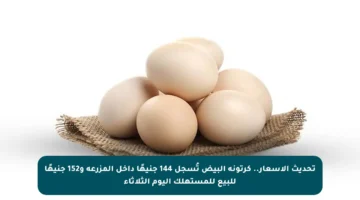 تحديث الأسعار.. كرتونة البيض تُسجل 144 جنيهًا داخل المزرعة و152 جنيهًا للبيع للمستهلك اليوم الثلاثاء